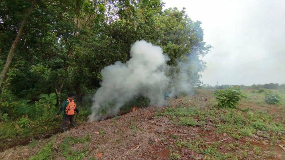 Sekat bakar dibuat untuk mencegah kebakaran hutan di Cagar Alam Kembang di Kecamatan Donorojo, Kabupaten Jepara. (IDN Times/Dok KPHK Pati Barat)