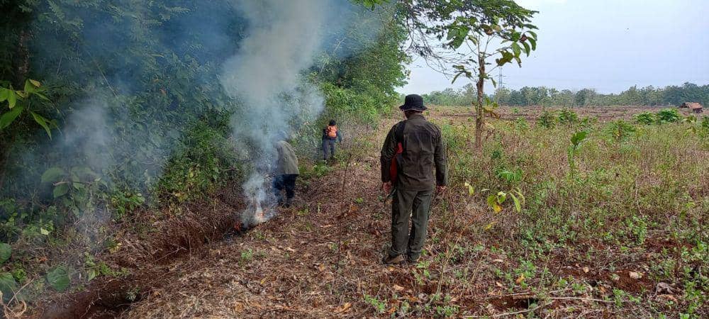 Sekat bakar jadi alternatif untuk mencegah potensi kebakaran di Cagar Alam Kembang Jepara. (IDN Times/Dok KPHK Pati Barat)