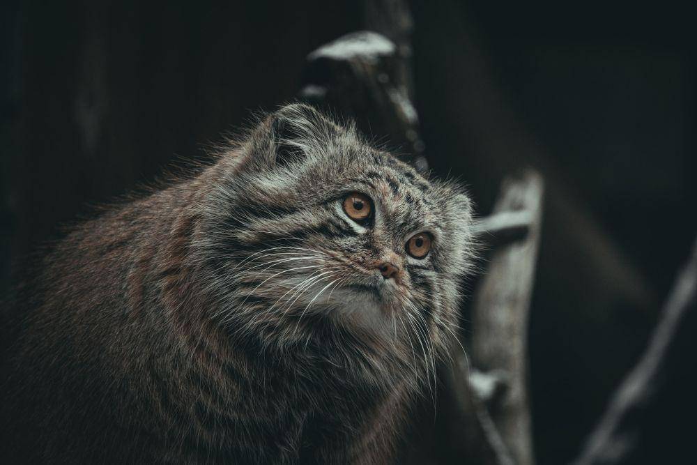 unsplash.com/Jevgeni Fil