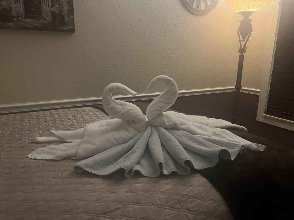 potret bentuk handuk hotel kreatif (reddit.com/user/Mongolium)
