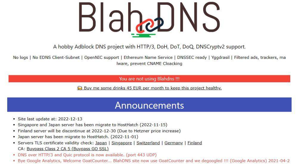 BlahDNS (dok. BlahDNS)