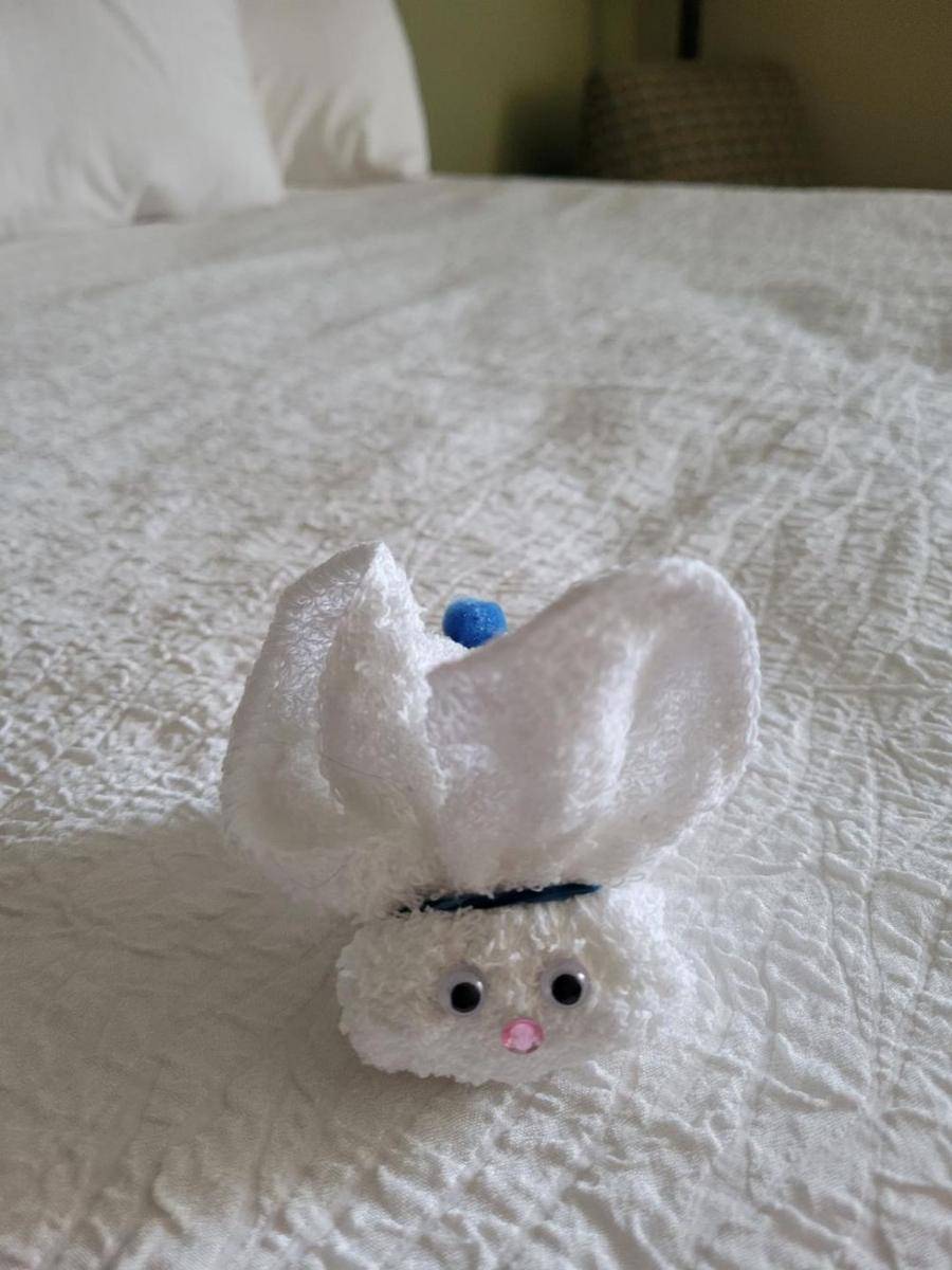 potret bentuk handuk hotel kreatif (reddit.com/user/flinjager123)