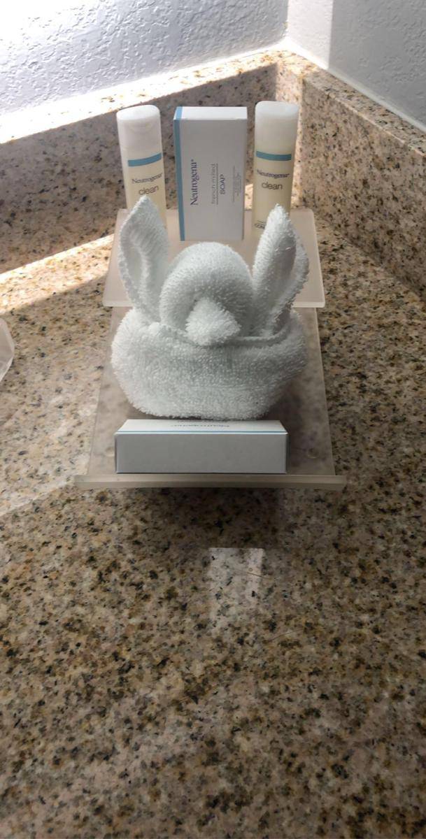 potret bentuk handuk hotel kreatif (reddit.com/user/ManuelFelimbres)