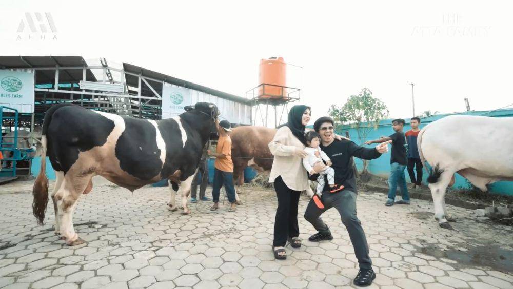 pertenakan sapi Ameena (YouTube.com/Atta Halilintar)