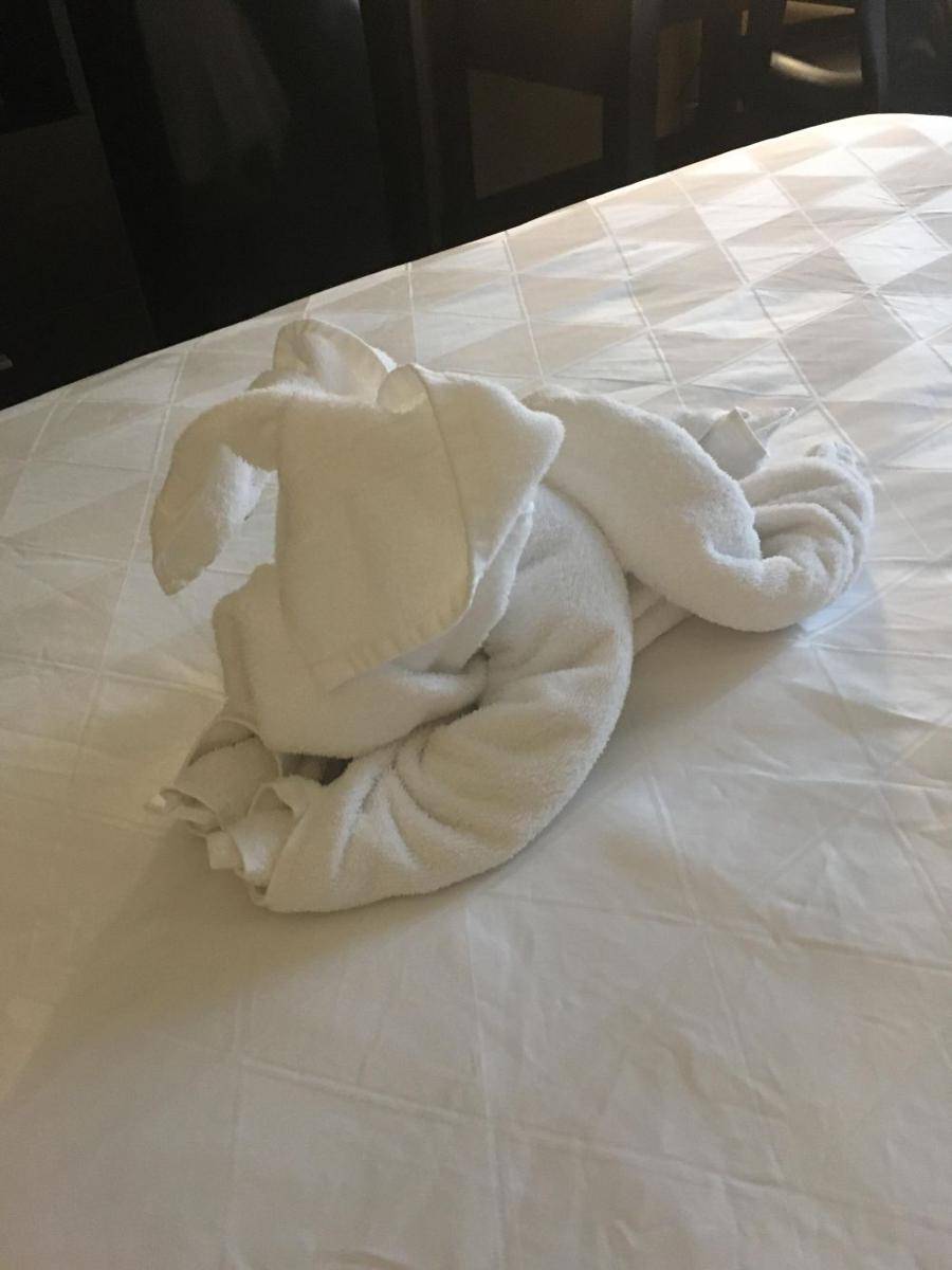 potret bentuk handuk hotel kreatif (reddit.com/user/Gredgin_)