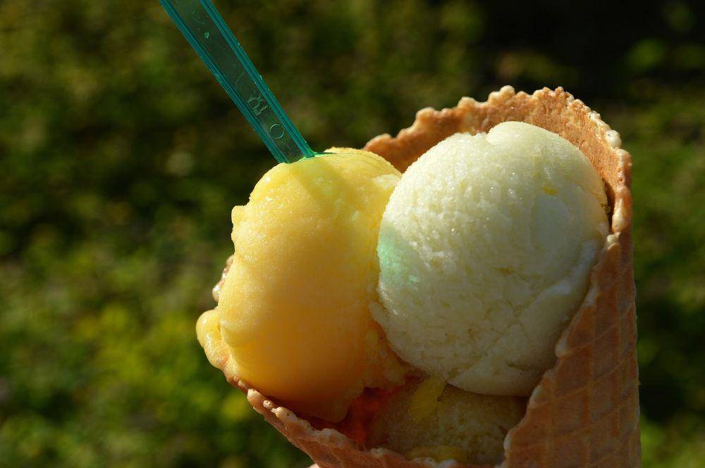 ilustrasi sorbet (pixabay.com/VIVIANE6276)