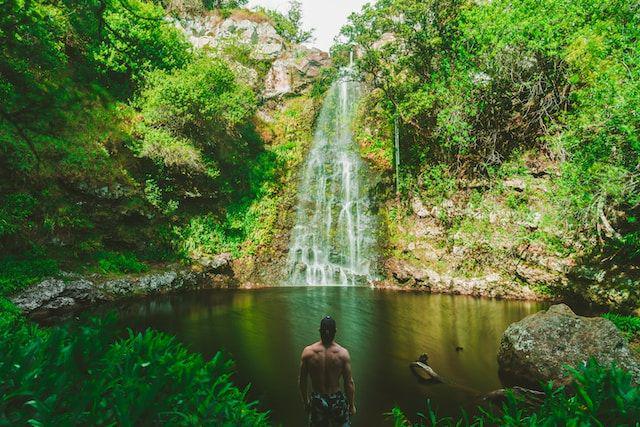 7 Rekomendasi Terapi Mandi Hutan di Jepang, Pas buat Healing!