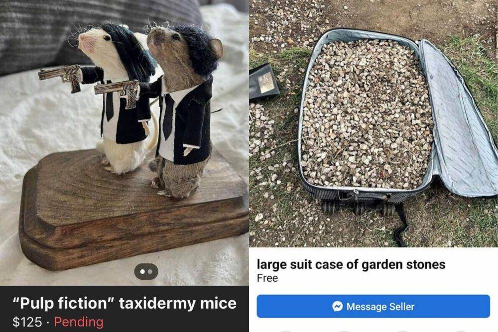 7 Barang Absurd di Facebook Marketplace, Harganya Bikin Meringis