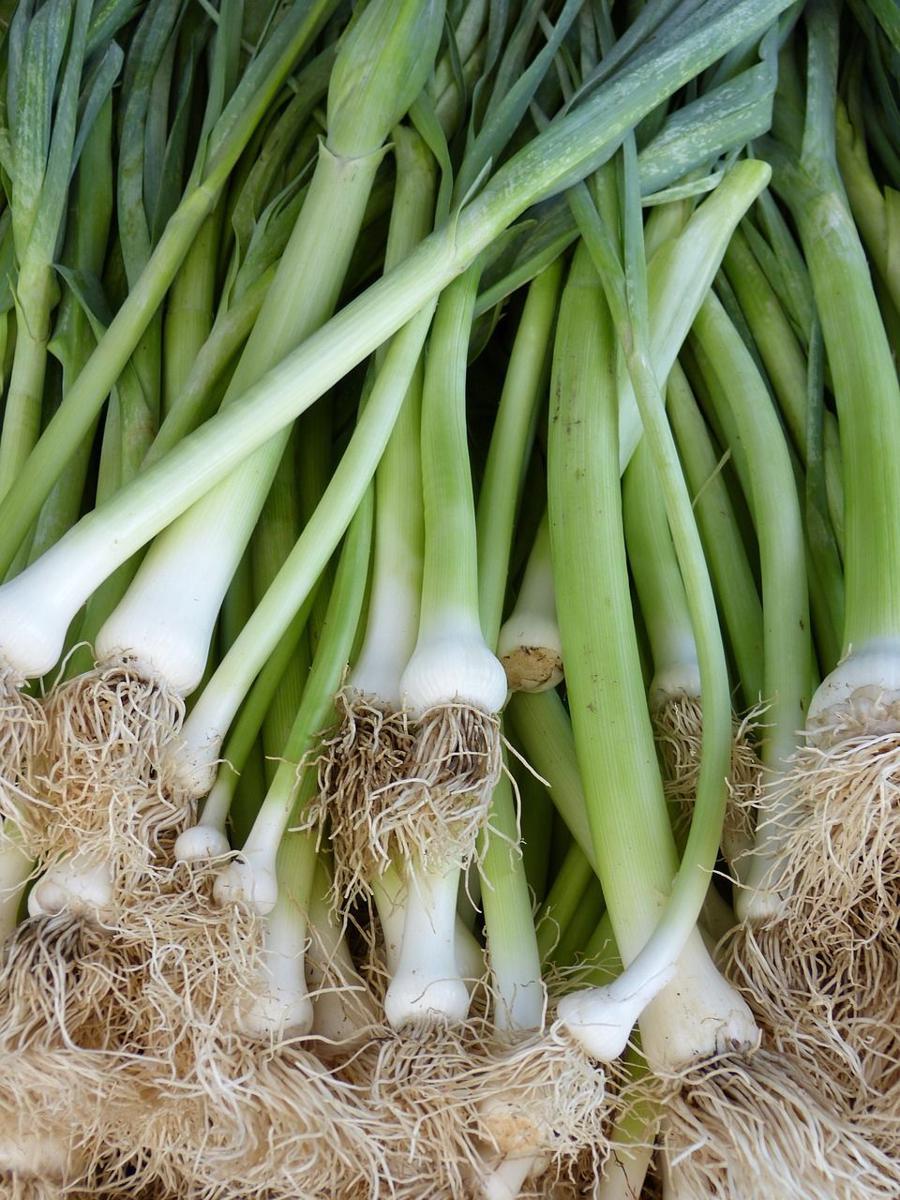 6 Tips dan Trik Mengiris Daun Bawang dengan Mudah dan Cepat