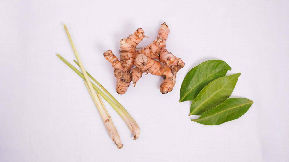 ilustrasi bumbu aromatik (vecteezy.com/portofoliobagus230698625077)