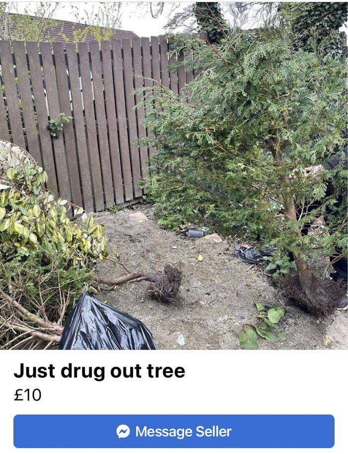 barang absurd di Facebook Marketplace (facebook.com/Lisa Morris)