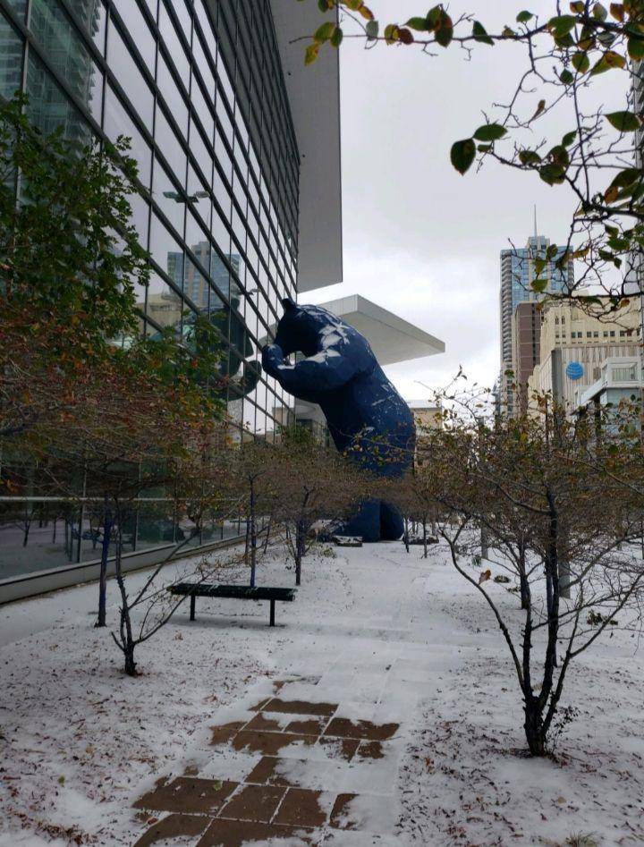 potret hal unik di Denver (reddit.com/user/cocoa2512)