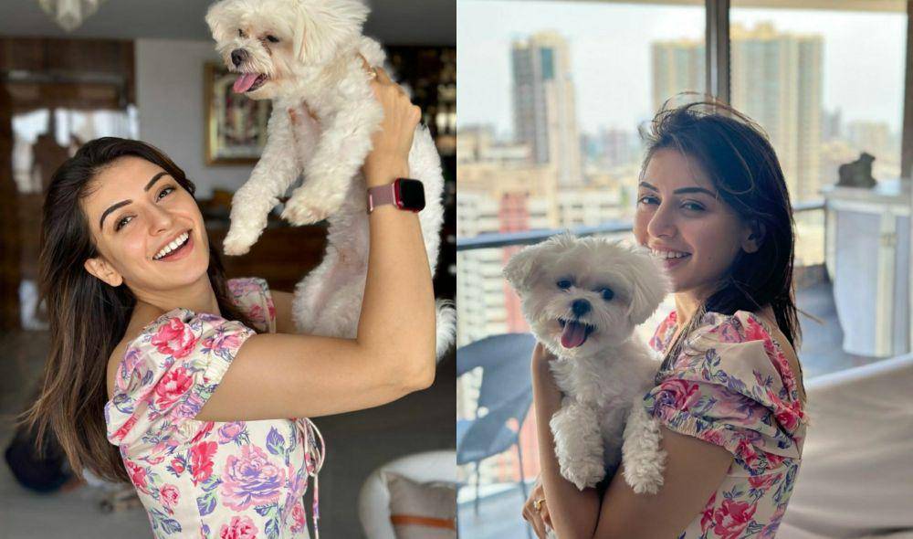 Hansika Motwani dan anjingnya (instagram.com/ihansika)