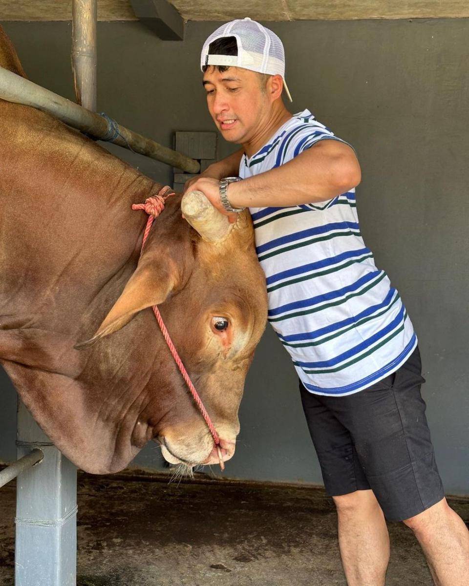 potret Irfan Hakim dan sapi kurban miliknya (instagram.com/irfanhakim75)