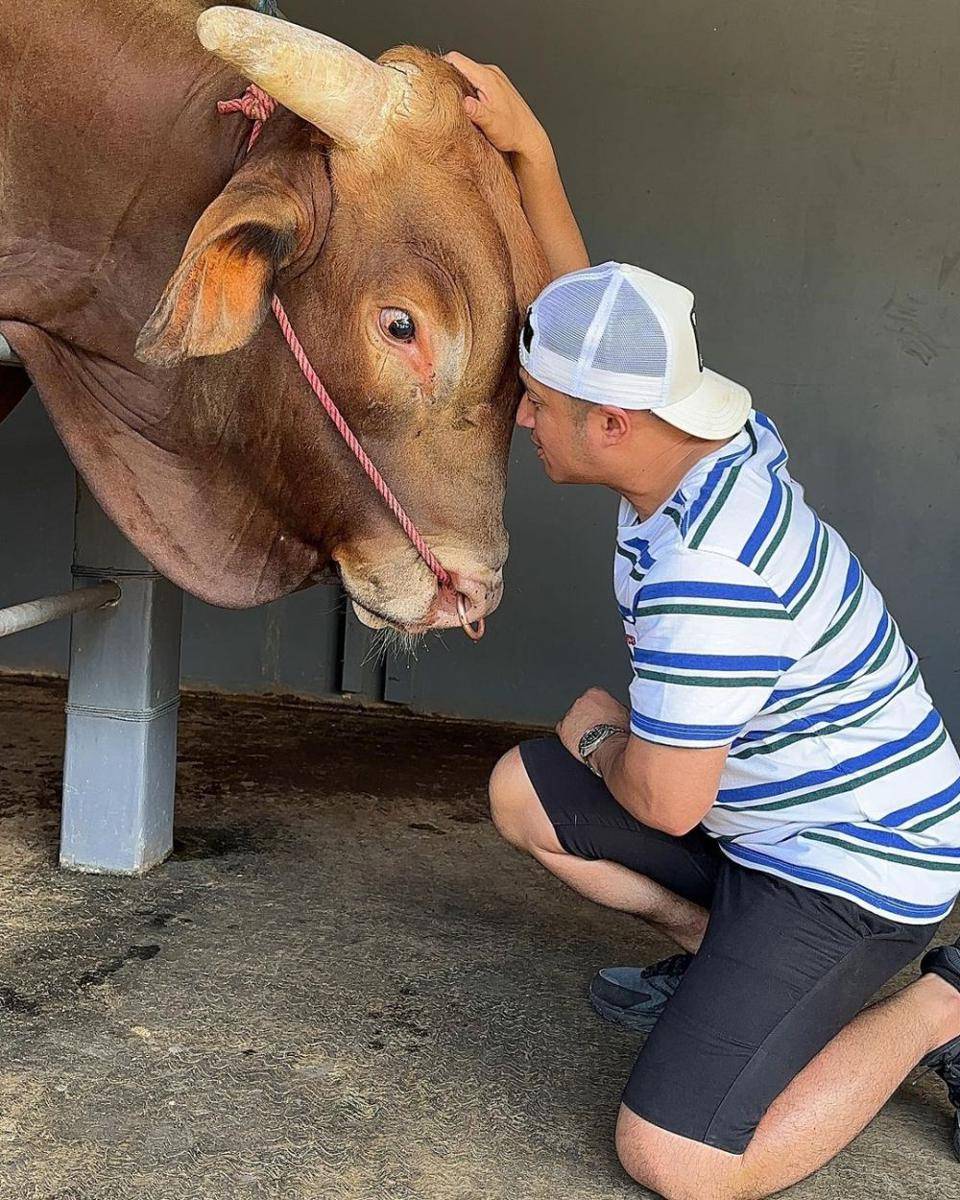 potret Irfan Hakim dan sapi kurban miliknya (instagram.com/irfanhakim75)