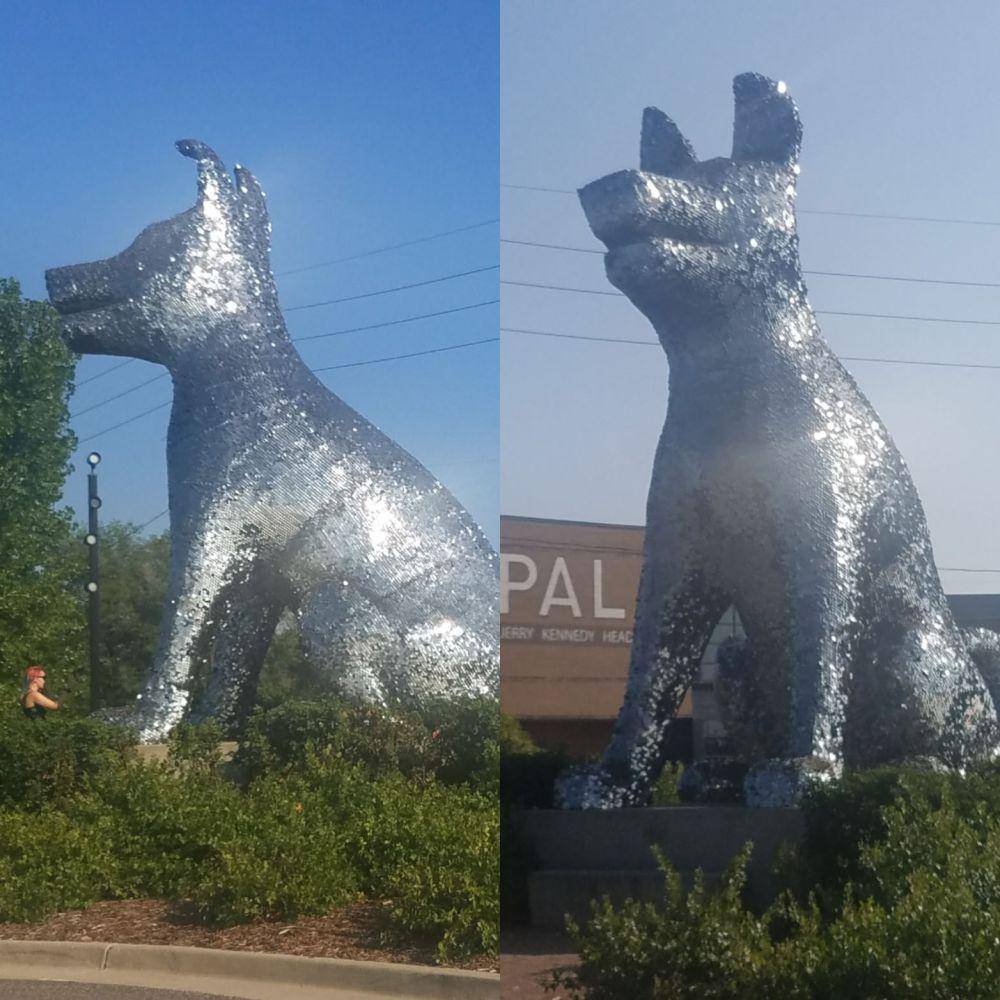 potret hal unik di Denver (reddit.com/user/TheFitGeek719)