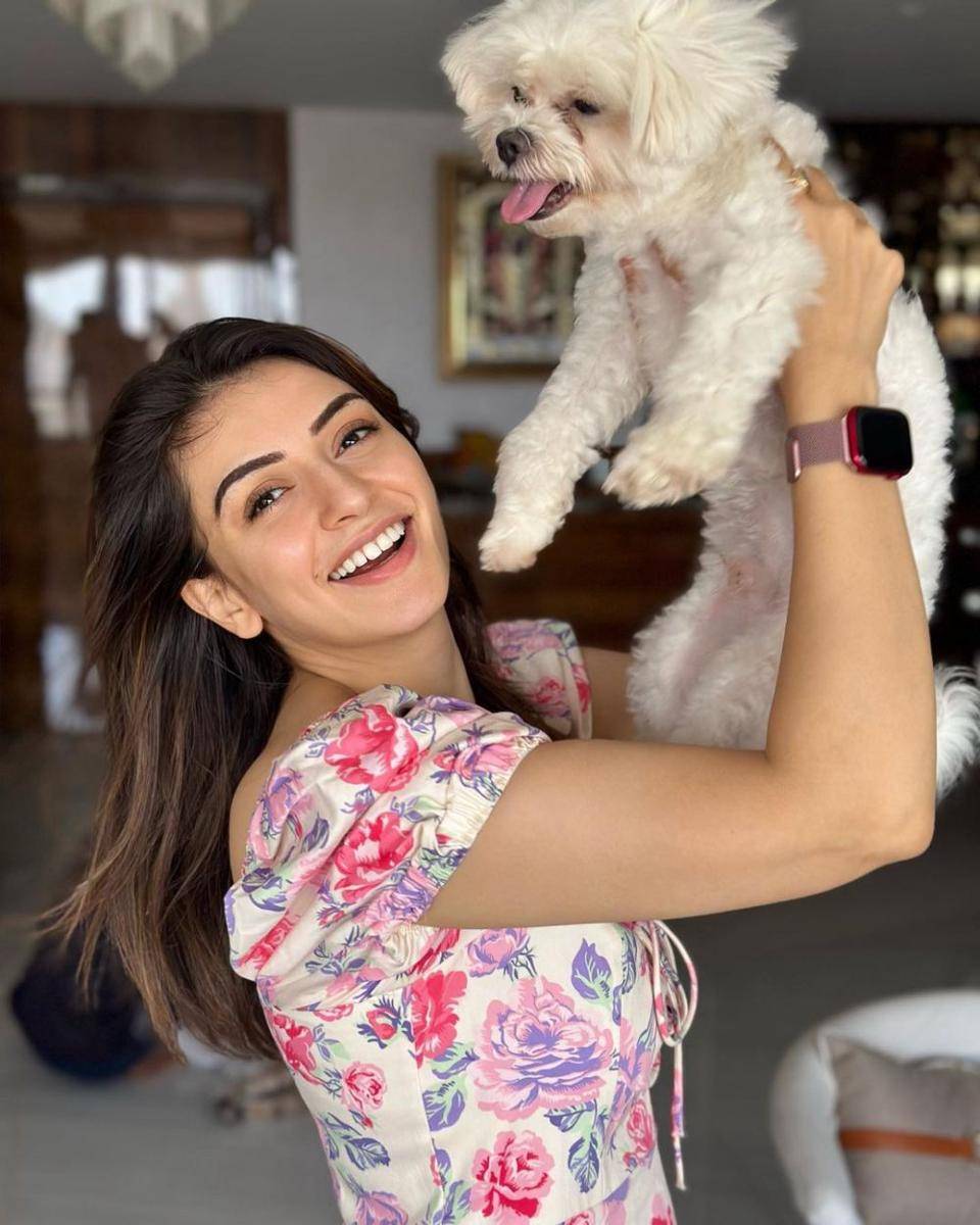 Hansika Motwani dan anjingnya (instagram.com/ihansika)