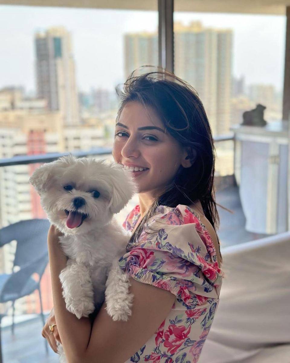 Hansika Motwani dan anjingnya (instagram.com/ihansika)