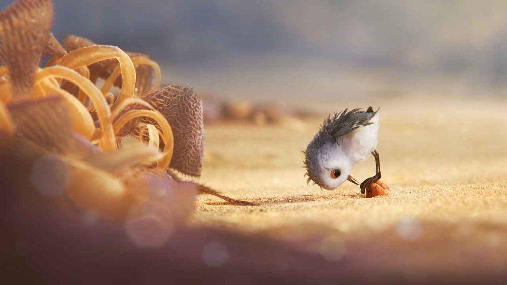 cuplikan film Piper (Dok.Pixar Animation Studios/Piper)