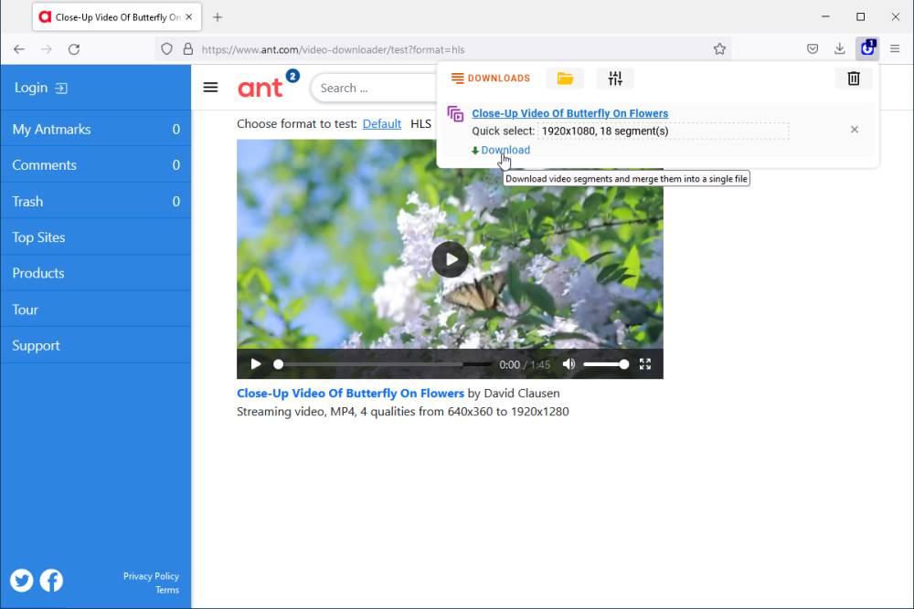 Ant Video Downloader (dok. Ant)