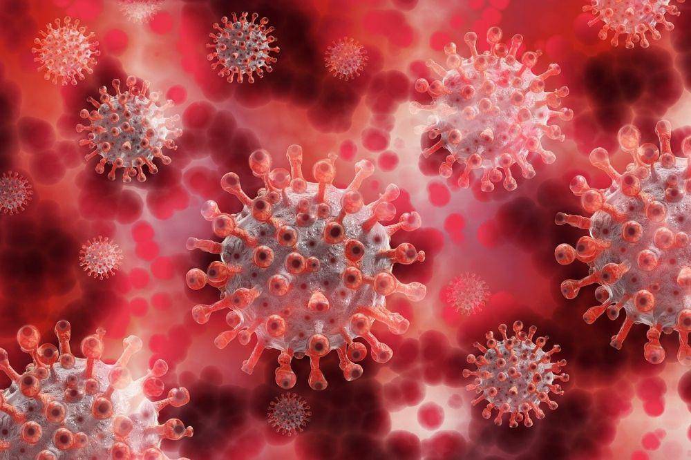 ilustrasi human papillomavirus atau HPV (pixabay.com/geralt)