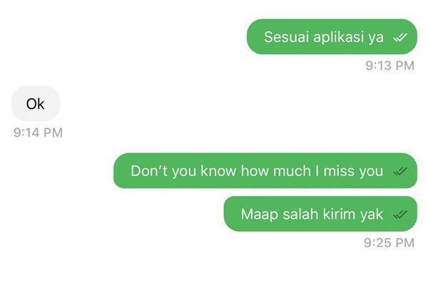 9 Chat Driver Ojek Online Salah Kirim Kata-kata Romantis, Jadi Malu