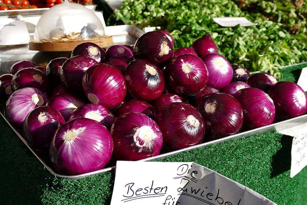 ilustrasi red onion (commons.wikimedia.org/Kritzolina)