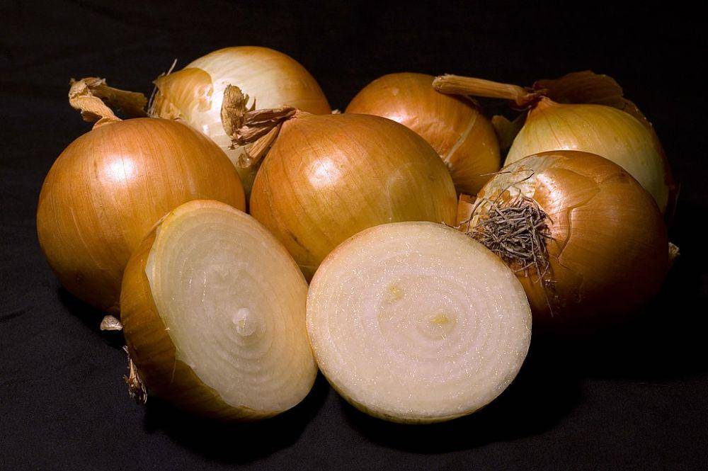 ilustrasi yellow onion (commons.wikimedia.org/Andrew c)