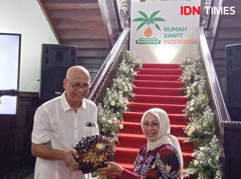 Ketua Umum Rumah Sawit Indonesia, Kacuk Sumarto (IDN Times/Indah Permata Sari)