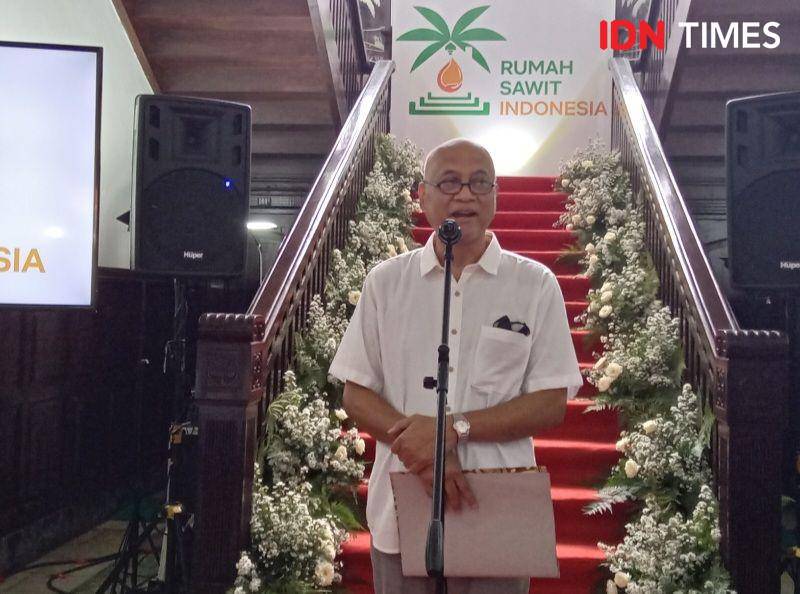 Ketua Umum Rumah Sawit Indonesia, Kacuk Sumarto (IDN Times/Indah Permata Sari)