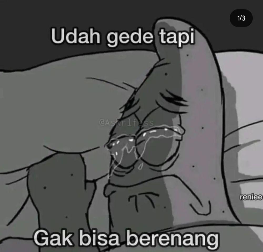 meme sudah gede (instagram.com/polosanmeme.in)