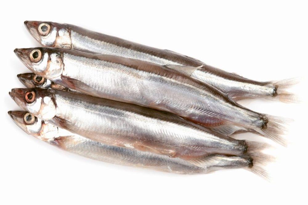 5 Manfaat Ikan Shishamo, Dapat Menjaga Kesehatan Tulang