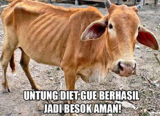 Meme Idul Adha (Twitter.com/infobdg)