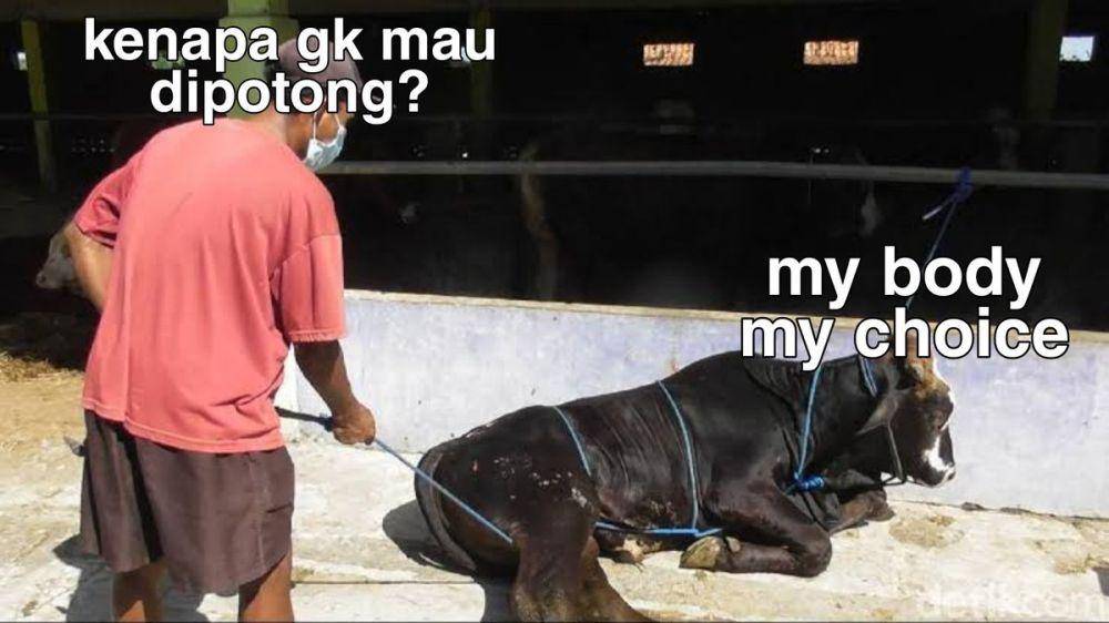Meme Idul Adha (Twitter.com/Tanyarlfes)