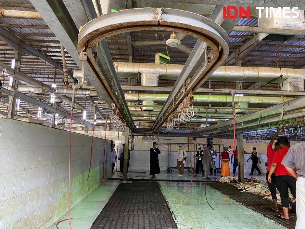 Pasar Kambing di Saraya, Makkah (IDN Times/Sunariyah)