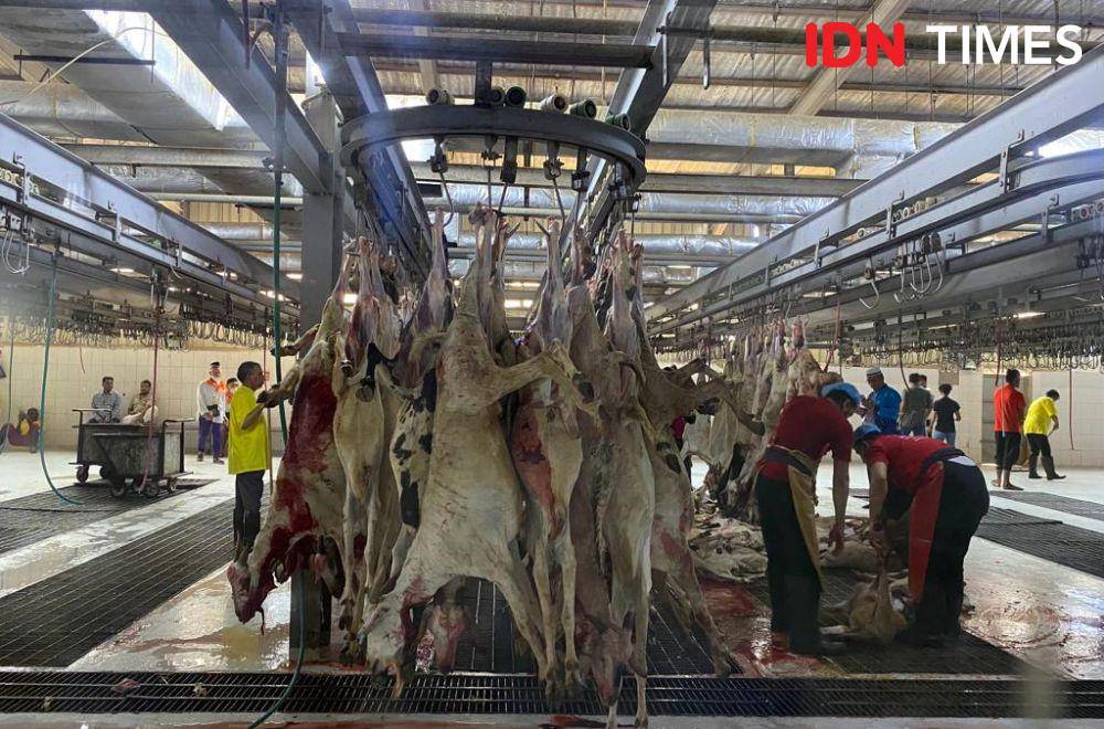 Pasar Kambing di Saraya, Makkah (IDN Times/Sunariyah)