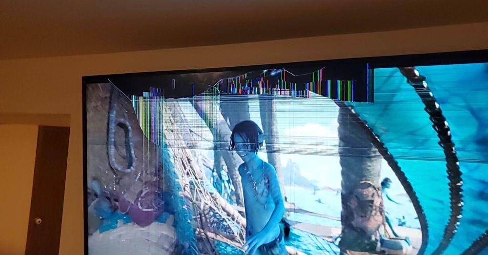 potret bocil ngerusakin TV (reddit.com/user/Cemeterywind666)