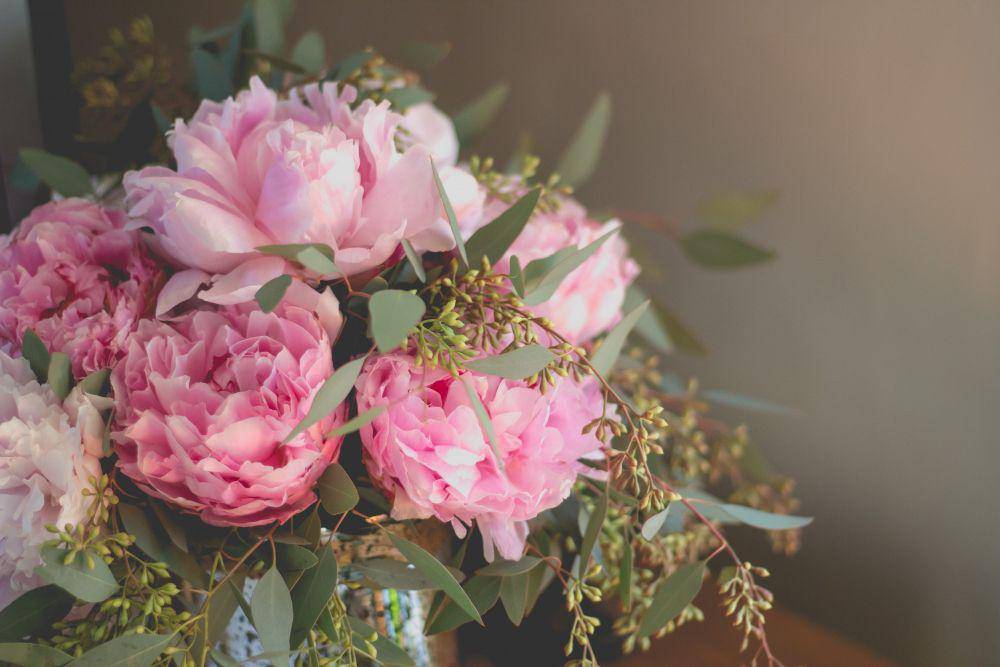 ilustrasi bunga peony warna pink (freepik/wirestock)