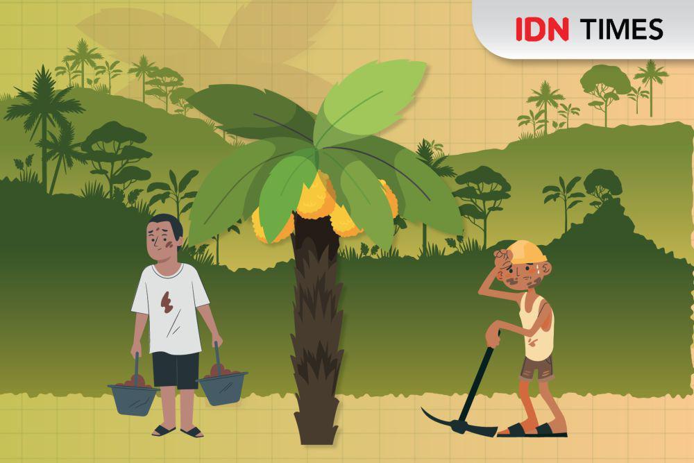 Waspada Praktik Eksploitasi Anak di Perkebunan Kelapa Sawit