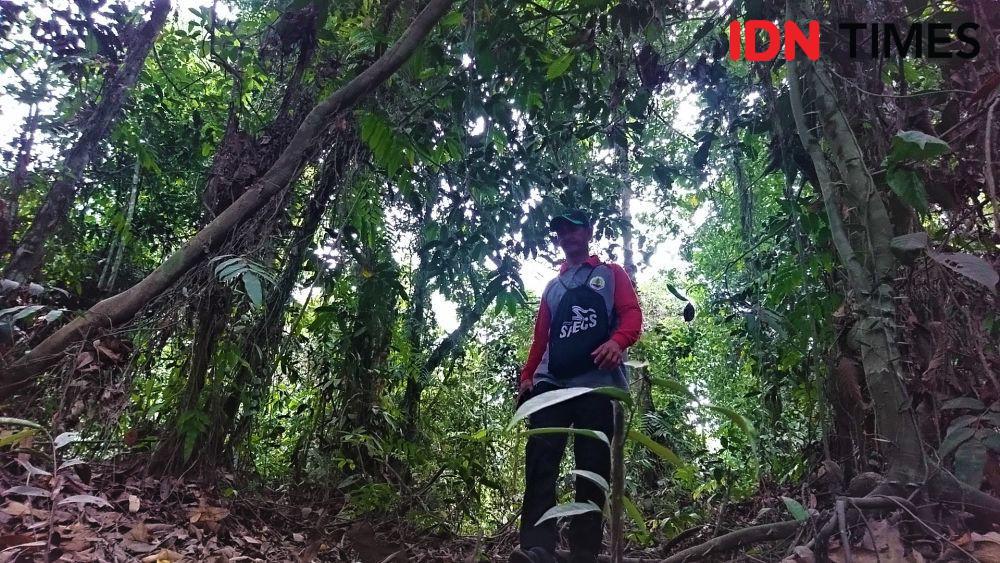 Hutan Lindung Gambut Terakhir di Jambi Terancam Rusak karena Dijarah