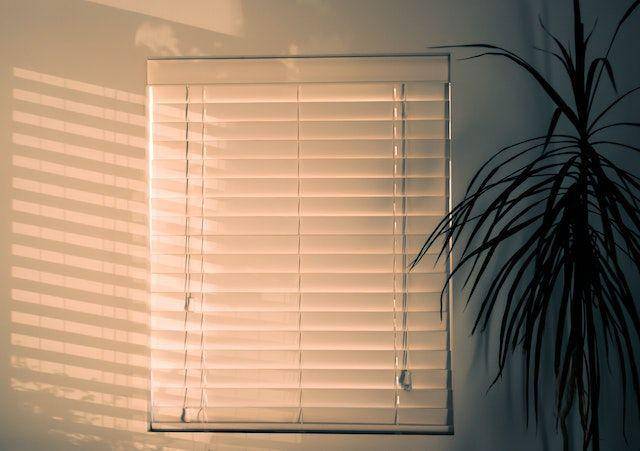 ilustrasi blinds (pexels.com/Steve Johnson)
