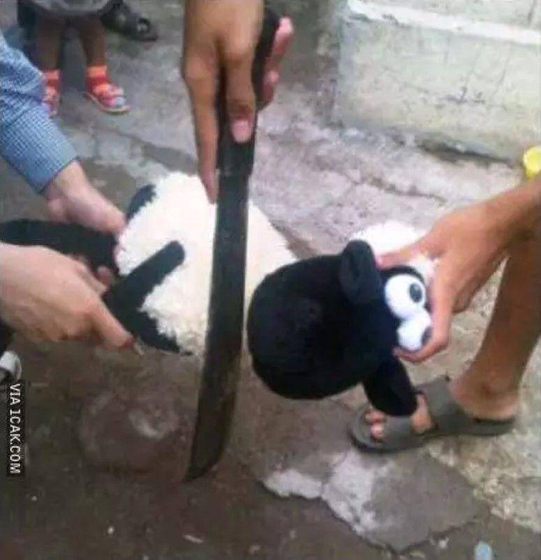 kurban ala anak kos (1cak.com)