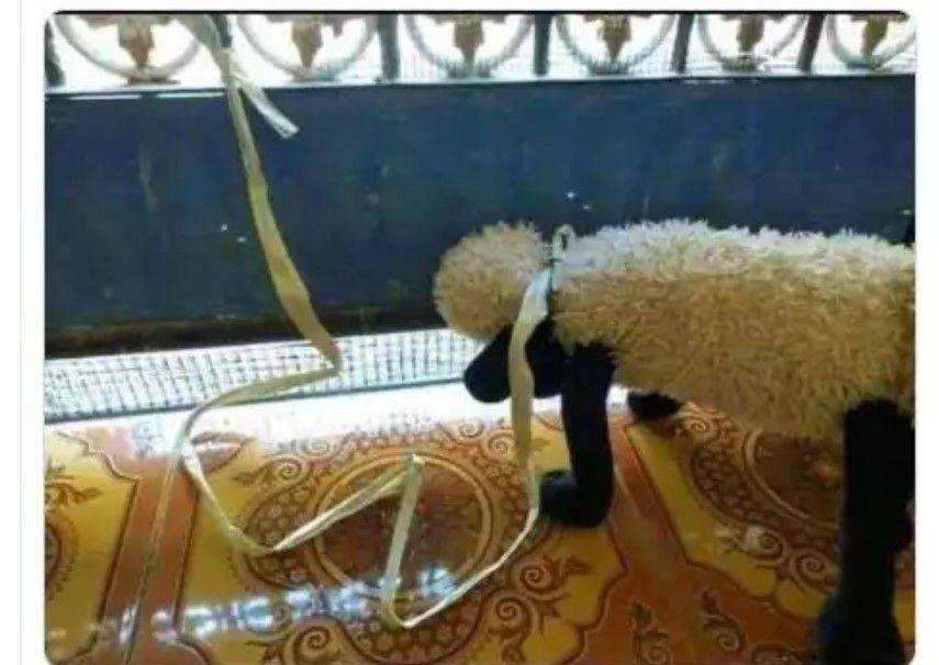 kurban ala anak kos (twitter.com/yohanasaynandya)