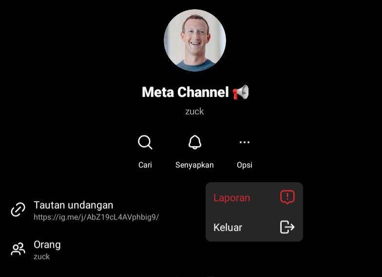 tangkapan layar Instagram (dok.Instagram/Saluran)