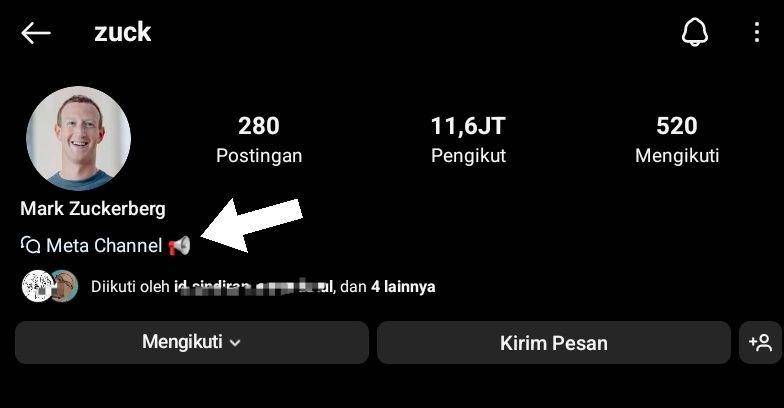 tangkapan layar Instagram (dok.Instagram/Profil)
