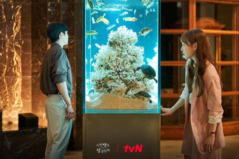 Ahn Bo Hyun dan Shin Hye Sun (instagram.com/tvn_drama)