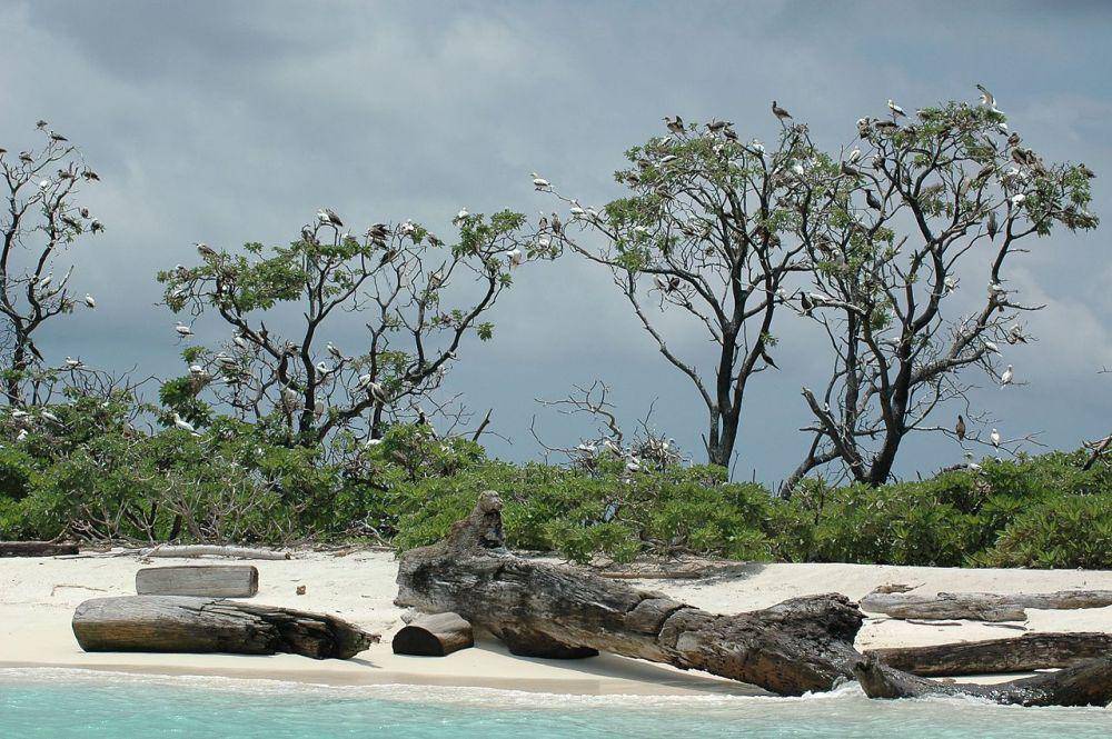 Tubbataha Reefs Natural Park (commons.wikimedia.org/Ron Van Oers)