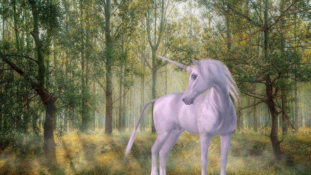 ilustrasi sosok unicorn (Pixabay.com/SilviaP_Design)