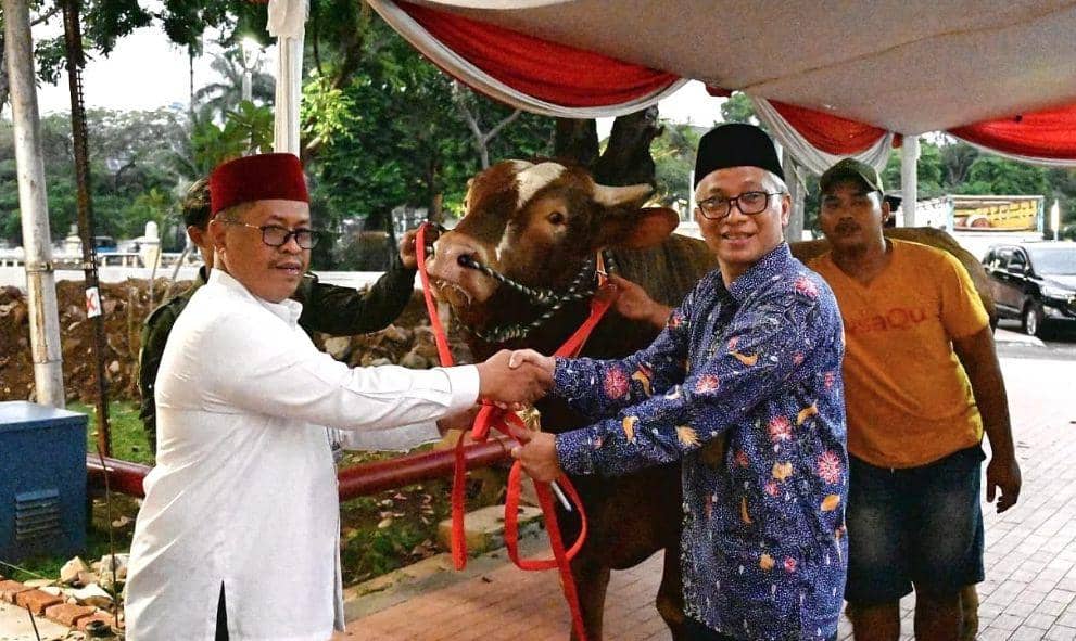 Wapres Ma'ruf Serahkan Sapi Limosin 1.154 Kg ke Istiqlal untuk Kurban