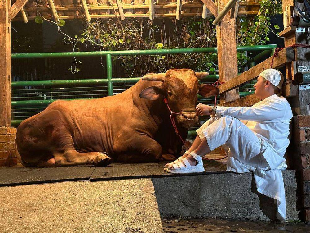 potret Irfan Hakim dan sapi kurban miliknya (instagram.com/irfanhakim75)